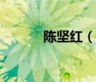 陳堅(jiān)紅（說一說陳堅(jiān)紅的簡(jiǎn)介）