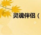 靈魂伴侶（說一說靈魂伴侶的簡(jiǎn)介）