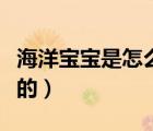 海洋寶寶是怎么做出來(lái)的（海洋寶寶是什么做的）