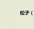 松子（說一說松子的簡介）