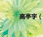 高亭宇（說(shuō)一說(shuō)高亭宇的簡(jiǎn)介）