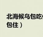 北海候鳥包吃住1600元（北海候鳥養(yǎng)生包吃包?。?/>
                                    </a>
                                                </div>
                                    <div   id=