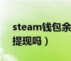 steam錢包余額提現(xiàn)（有方法在steam錢包提現(xiàn)嗎）