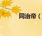 同治帝（說一說同治帝的簡(jiǎn)介）
