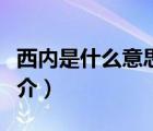 西內(nèi)是什么意思（說一說西內(nèi)是什么意思的簡介）