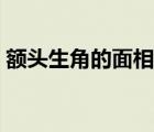 額頭生角的面相（額頭生角御豺狼猜一生肖）