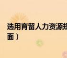 選用育留人力資源規(guī)劃（人力資源選育用留分別代表哪些方面）