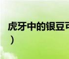 虎牙中的銀豆可以干什么（虎牙銀豆有什么用）
