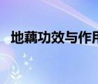 地藕功效與作用及禁忌（地藕功效與作用）