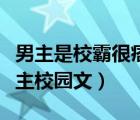 男主是校霸很痞校園文（男主是校霸特別護(hù)女主校園文）