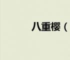 八重櫻（說一說八重櫻的簡介）