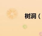 樹洞（說一說樹洞的簡介）