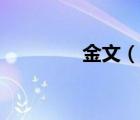 金文（說一說金文的簡介）