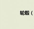 輪轂（說一說輪轂的簡介）