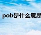 pob是什么意思中文（p o box是什么意思）