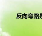 反向彎路是什么意思（反向彎路）