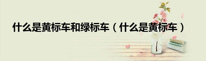 什么是黃標(biāo)車(chē)和綠標(biāo)車(chē)（什么是黃標(biāo)車(chē)）