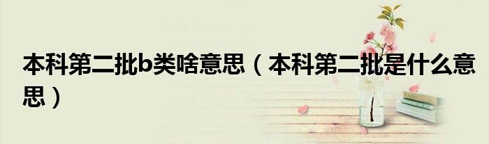 本科第二批b類啥意思（本科第二批是什么意思）