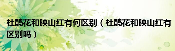 杜鵑花和映山紅有何區(qū)別（杜鵑花和映山紅有區(qū)別嗎）
