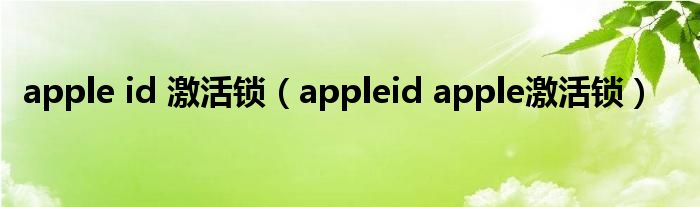 apple id 激活鎖（appleid apple激活鎖）