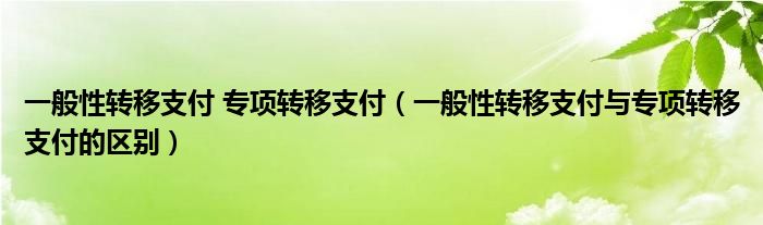 一般性轉(zhuǎn)移支付 專項轉(zhuǎn)移支付（一般性轉(zhuǎn)移支付與專項轉(zhuǎn)移支付的區(qū)別）