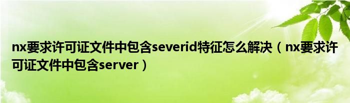 nx要求許可證文件中包含severid特征怎么解決（nx要求許可證文件中包含server）