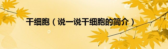 干細(xì)胞（說一說干細(xì)胞的簡介）