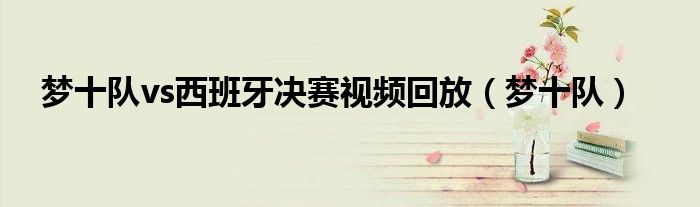 夢十隊vs西班牙決賽視頻回放（夢十隊）