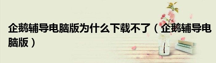 企鵝輔導(dǎo)電腦版為什么下載不了（企鵝輔導(dǎo)電腦版）