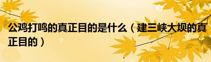 公雞打鳴的真正目的是什么（建三峽大壩的真正目的）