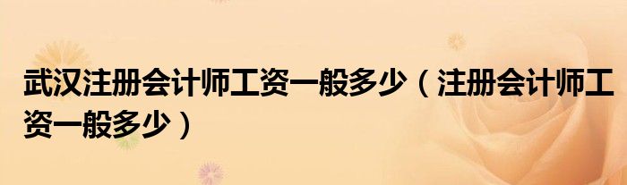 武漢注冊(cè)會(huì)計(jì)師工資一般多少（注冊(cè)會(huì)計(jì)師工資一般多少）