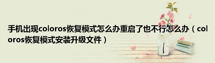 手機(jī)出現(xiàn)coloros恢復(fù)模式怎么辦重啟了也不行怎么辦（coloros恢復(fù)模式安裝升級(jí)文件）