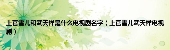 上官雪兒和武天祥是什么電視劇名字（上官雪兒武天祥電視劇）