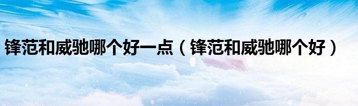 鋒范和威馳哪個(gè)好一點(diǎn)（鋒范和威馳哪個(gè)好）
