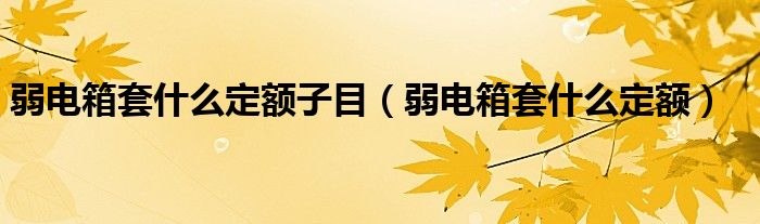 弱電箱套什么定額子目（弱電箱套什么定額）