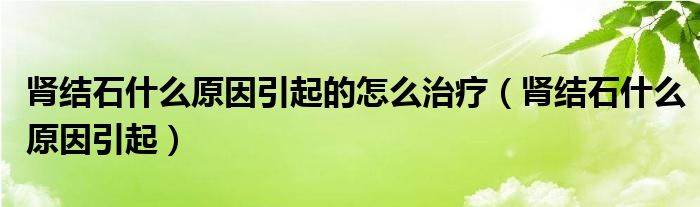 腎結(jié)石什么原因引起的怎么治療（腎結(jié)石什么原因引起）