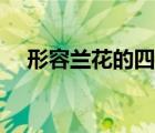 形容蘭花的四字成語(yǔ)（形容蘭花的成語(yǔ)）