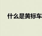 什么是黃標(biāo)車和綠標(biāo)車（什么是黃標(biāo)車）