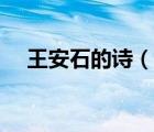王安石的詩(shī)（說(shuō)一說(shuō)王安石的詩(shī)的簡(jiǎn)介）