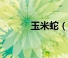 玉米蛇（說一說玉米蛇的簡介）