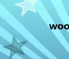 wood音標(biāo)（woody）