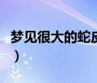 夢見很大的蛇皮是什么意思（蛇皮是什么意思）