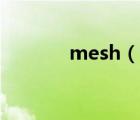 mesh（說一說mesh的簡介）