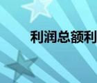 利潤總額利潤表公式（利潤表公式）
