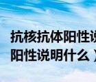 抗核抗體陽(yáng)性說(shuō)明什么是紅斑狼瘡（抗核抗體陽(yáng)性說(shuō)明什么）