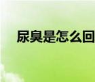尿臭是怎么回事啊（尿尿臭是什么情況）