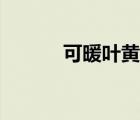 可暖葉黃素眼部精華露（可暖）