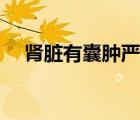 腎臟有囊腫嚴(yán)重嗎（腎上有囊腫嚴(yán)重嗎）