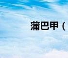 蒲巴甲（說一說蒲巴甲的簡介）