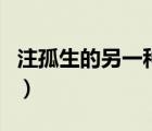 注孤生的另一種說法（注孤身和注孤生的區(qū)別）